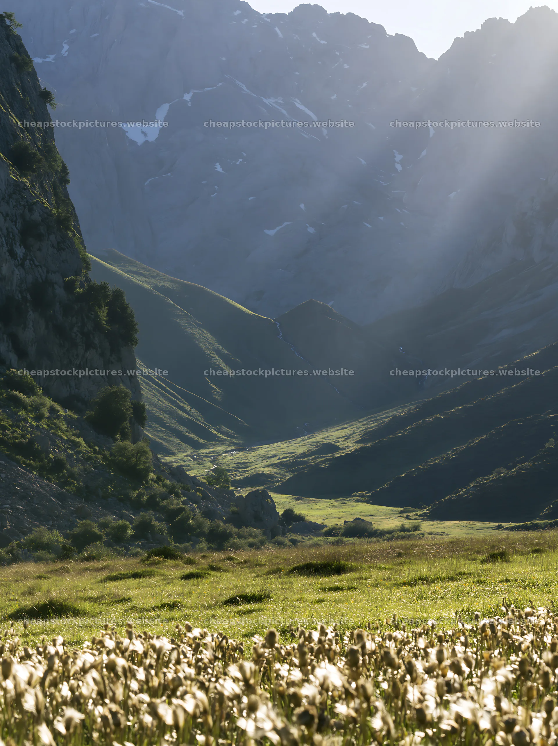 Sun rays over Picos de Europa meadow in natural landscape – stock pictures 6866x9174