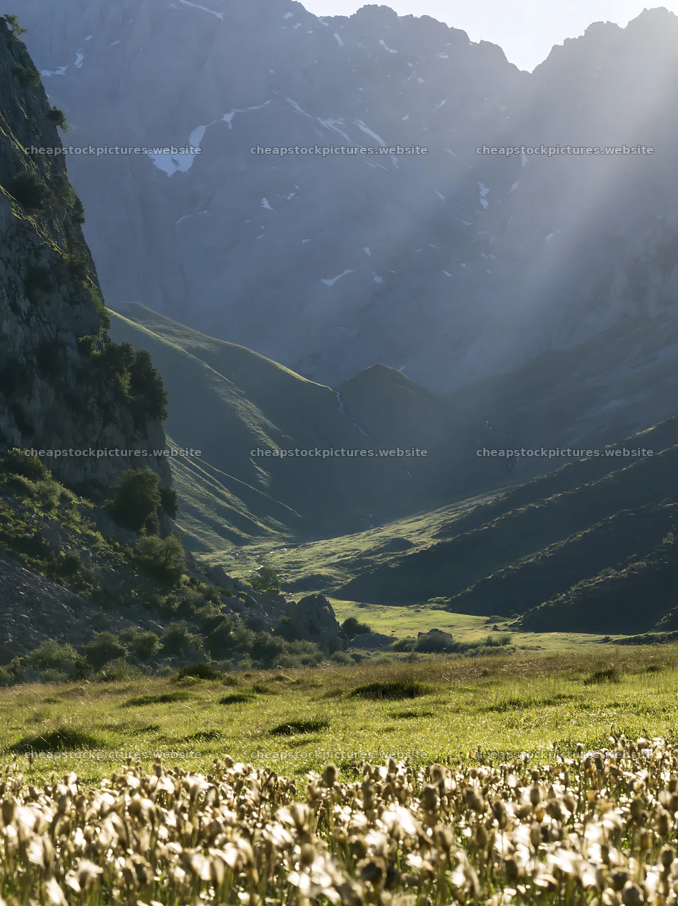Sun rays over Picos de Europa meadow in natural landscape – stock pictures 6866x9174