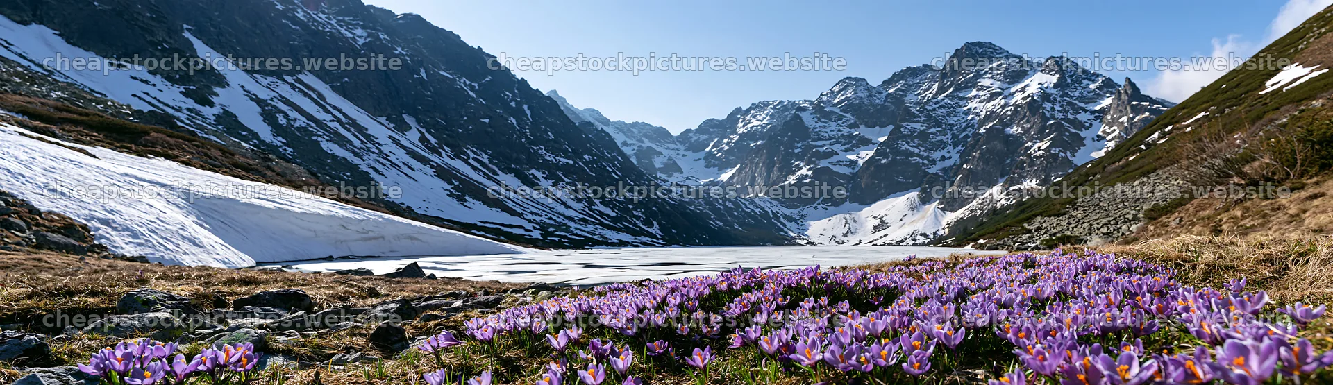 Frozen tarn meadow with flowers in the mountains – stock pictures 14762x4268
