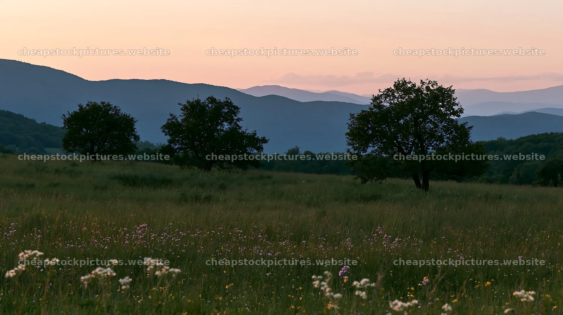 Highland apple meadow with trees and distant mountains at sunset – stock pictures 10608x5938