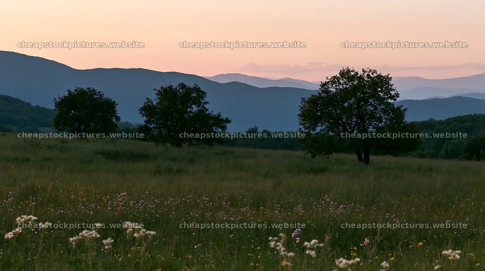 Highland apple meadow with trees and distant mountains at sunset – stock pictures 10608x5938