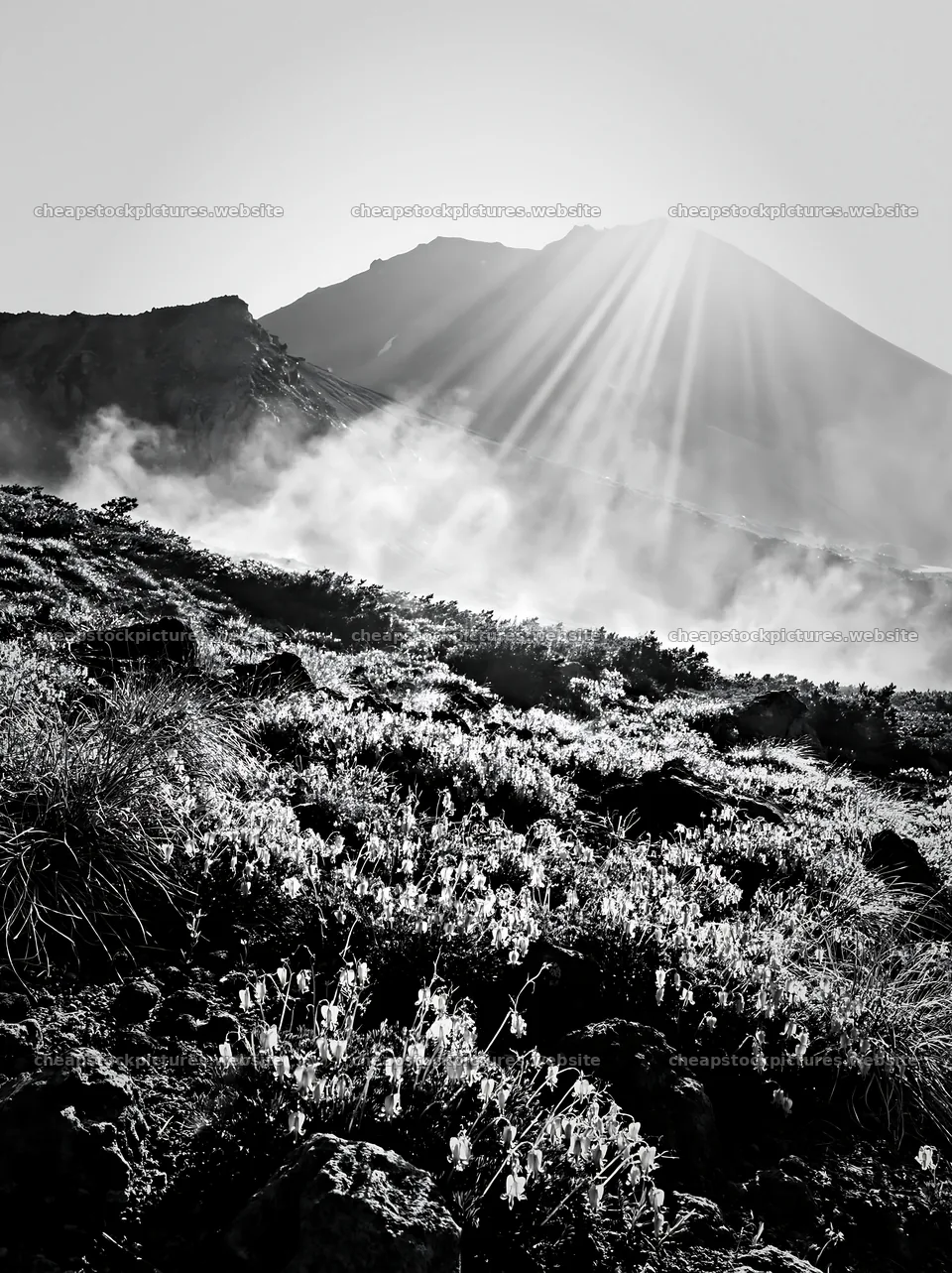 Light rays over Daisetsuzan alpine meadow at sunrise – stock pictures 6866x9174