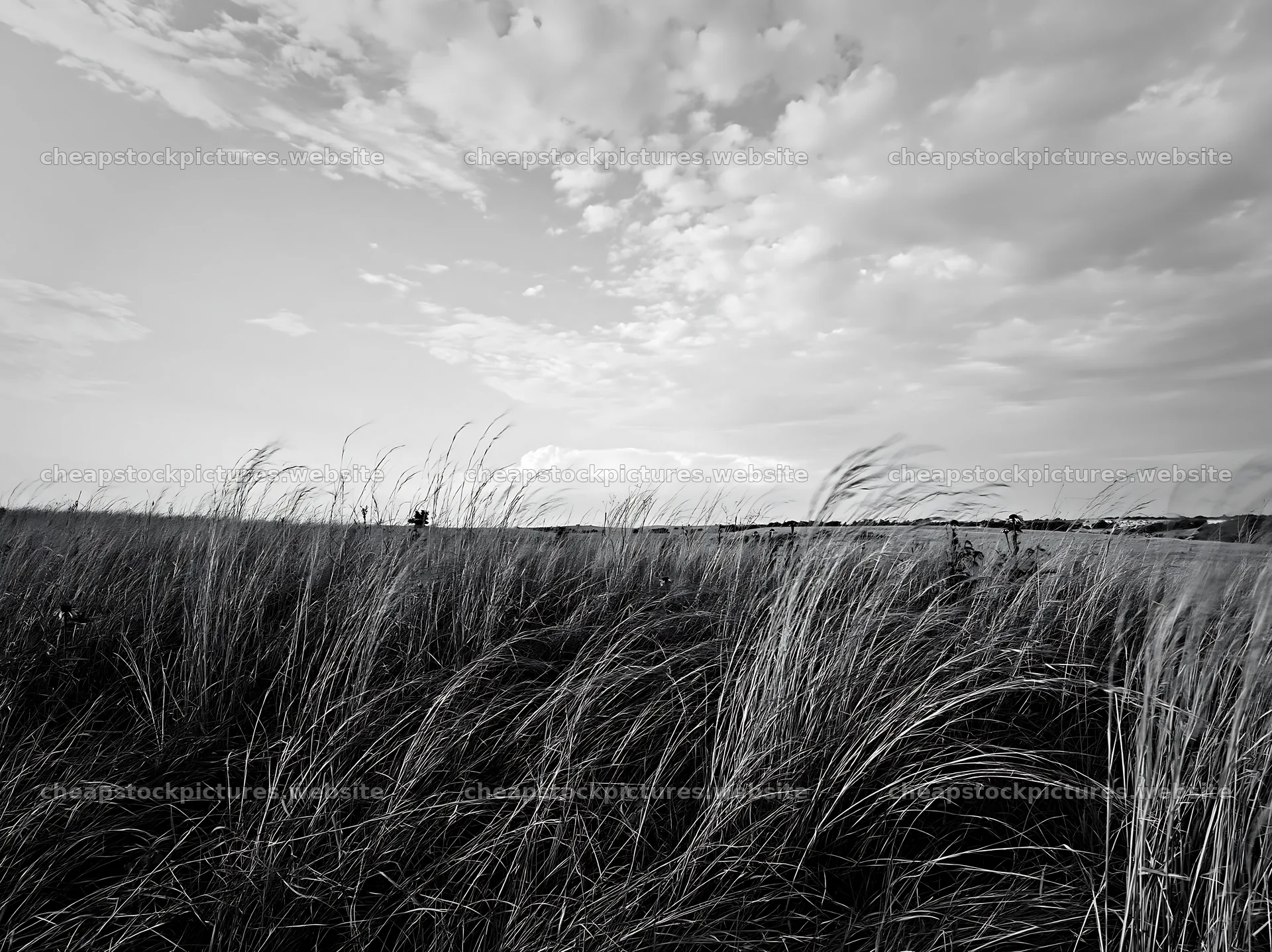 Drought-tolerant meadow with grass and cloudy sky – stock pictures 9174x6866