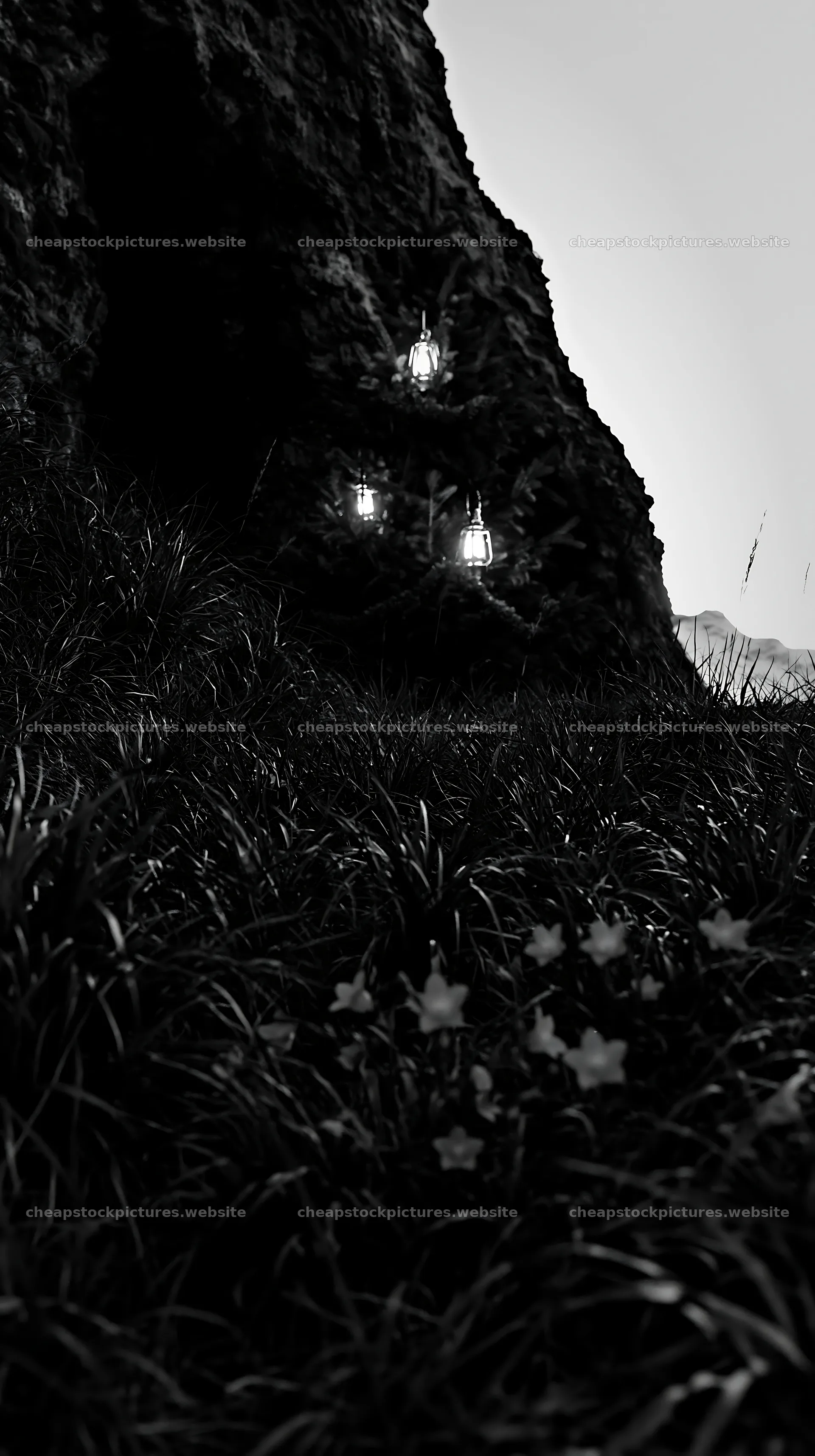 Christmas tree with lanterns in meadow by cave – stock pictures 5938x10608