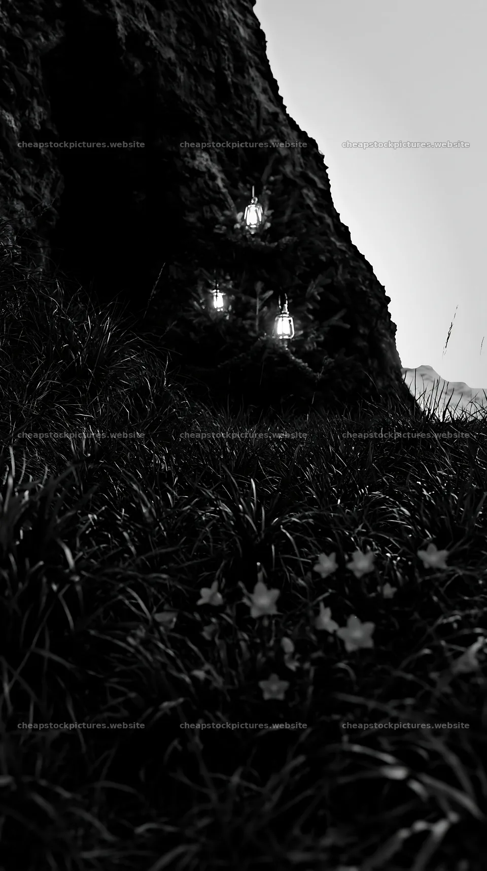 Christmas tree with lanterns in meadow by cave – stock pictures 5938x10608