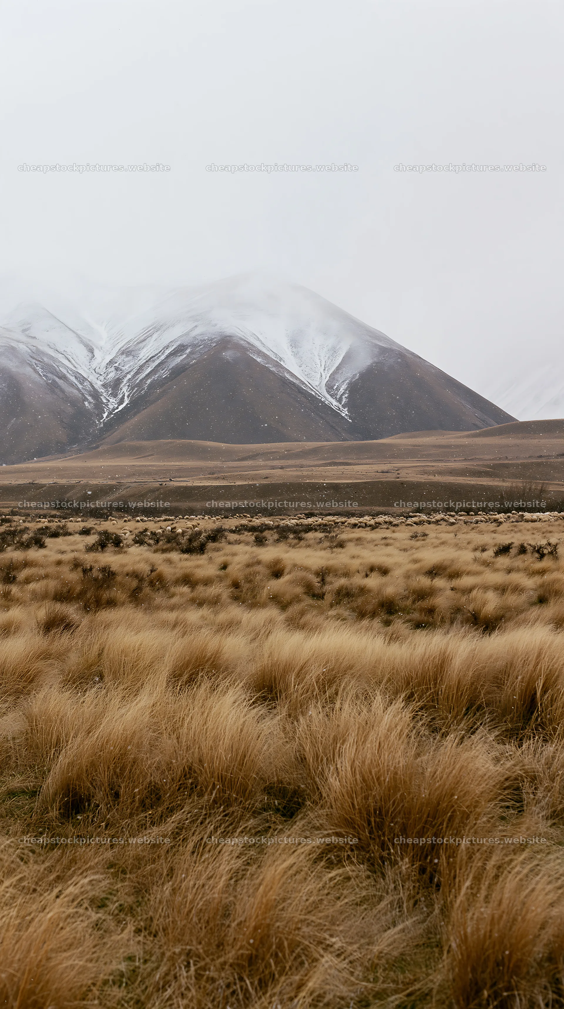 Snowy alps and meadow at Lake Tekapo in winter – stock pictures 5938x10608