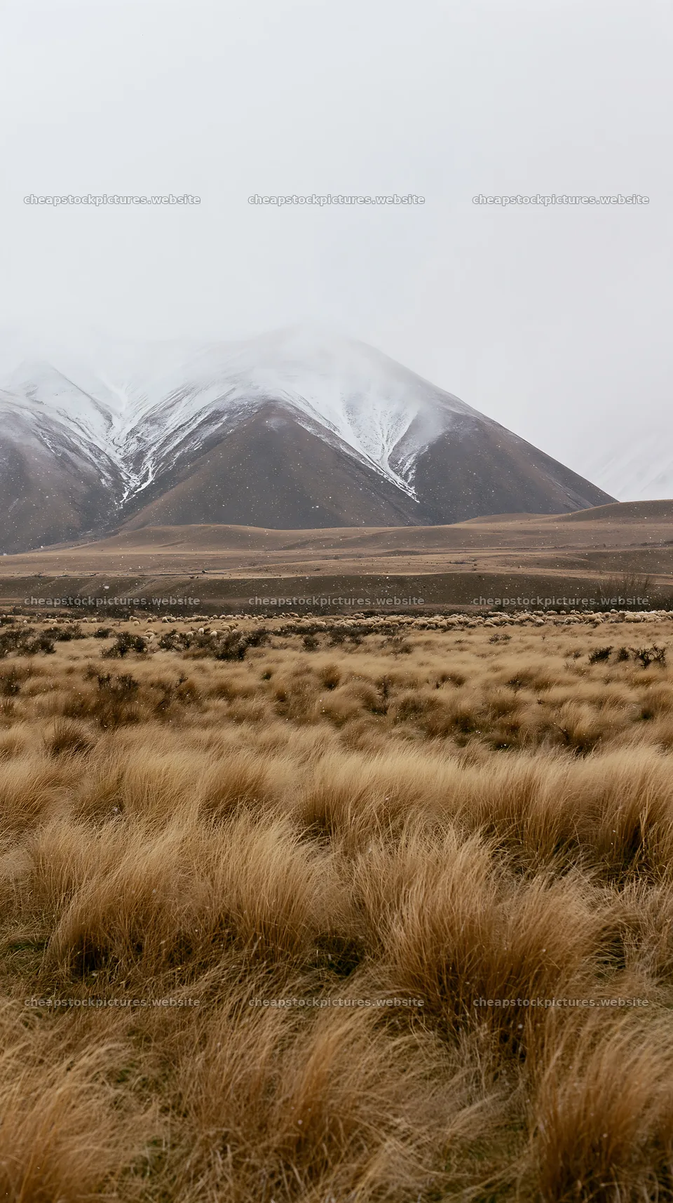 Snowy alps and meadow at Lake Tekapo in winter – stock pictures 5938x10608