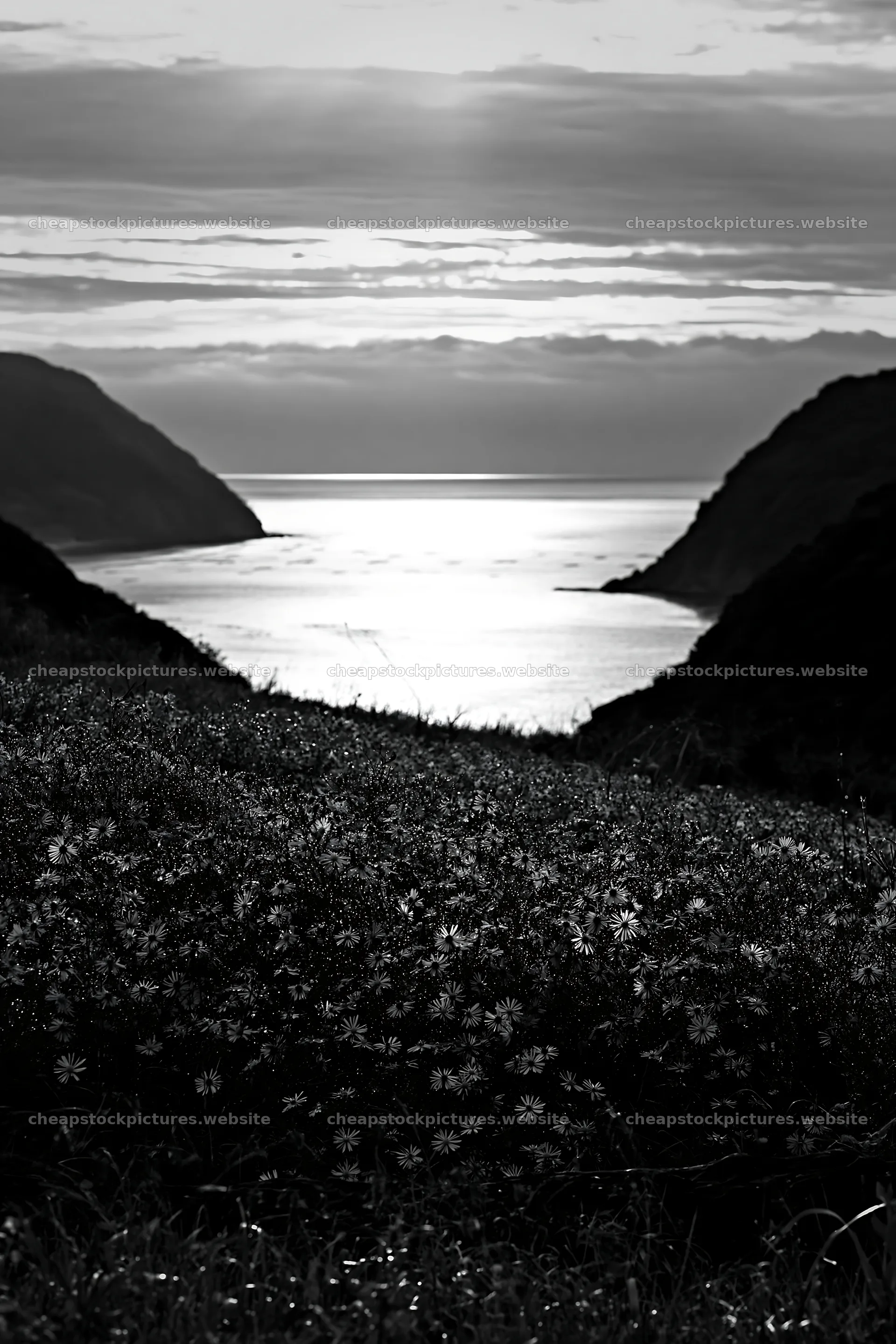 Nagasaki coastal meadow driftwood foreground mood – stock pictures 6480x9722