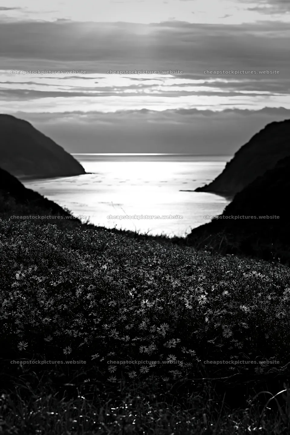 Nagasaki coastal meadow driftwood foreground mood – stock pictures 6480x9722