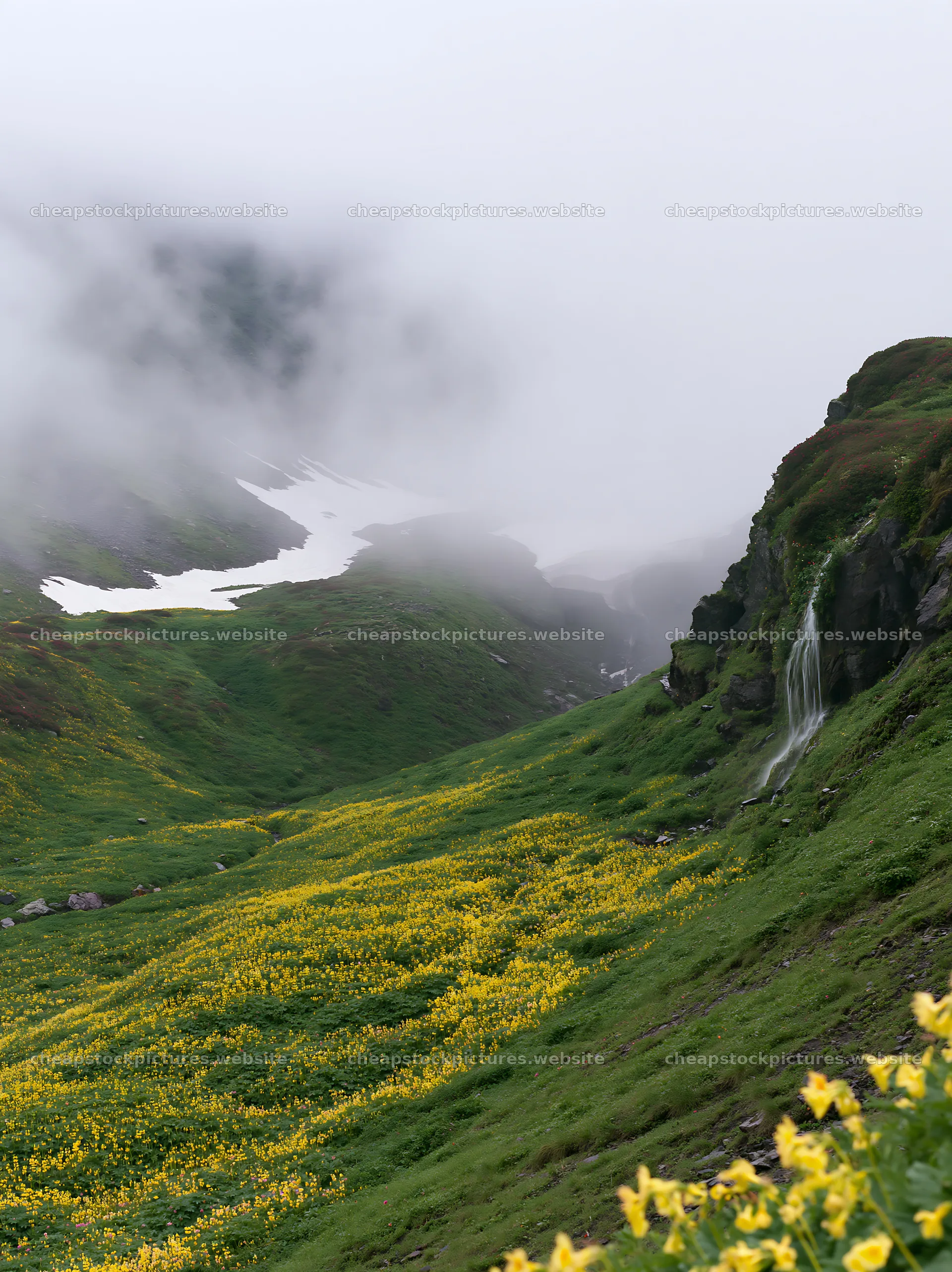 Snowmelt meadow with flowers and waterfall in green landscape – stock pictures 6866x9174