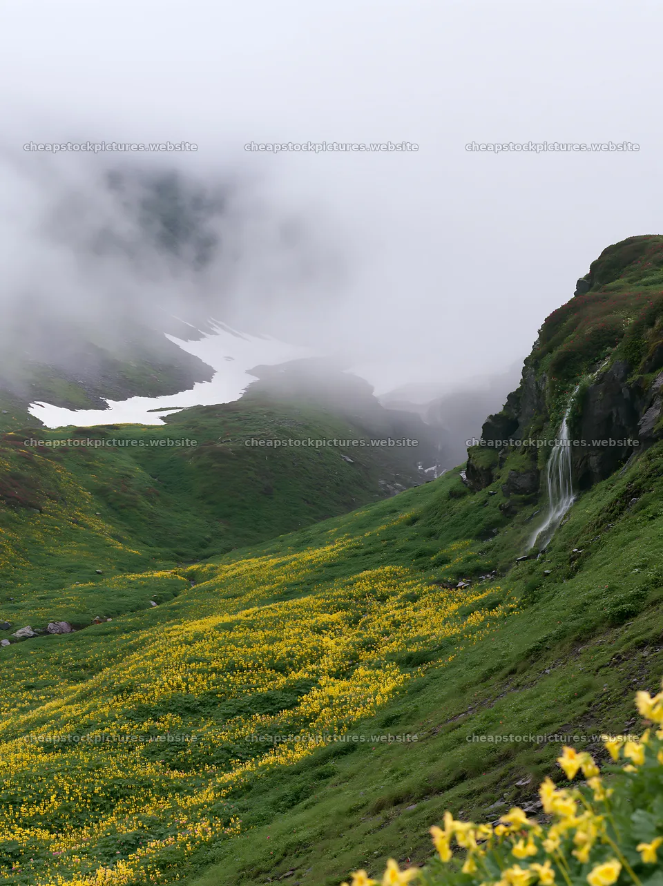 Snowmelt meadow with flowers and waterfall in green landscape – stock pictures 6866x9174