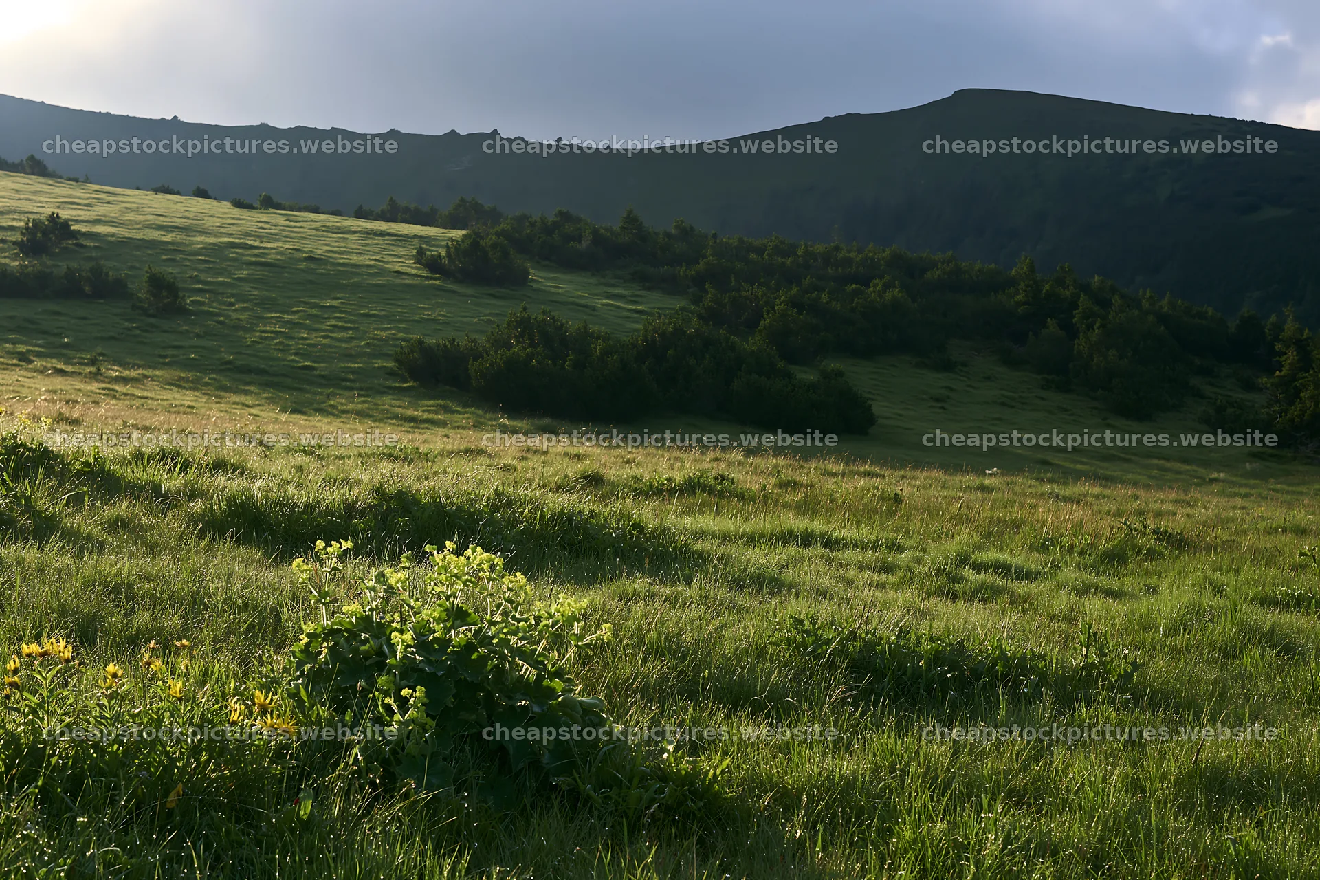 Dewy meadow under cloudy skies at sunrise – stock pictures 9722x6480