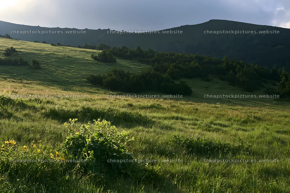 Dewy meadow under cloudy skies at sunrise – stock pictures 9722x6480