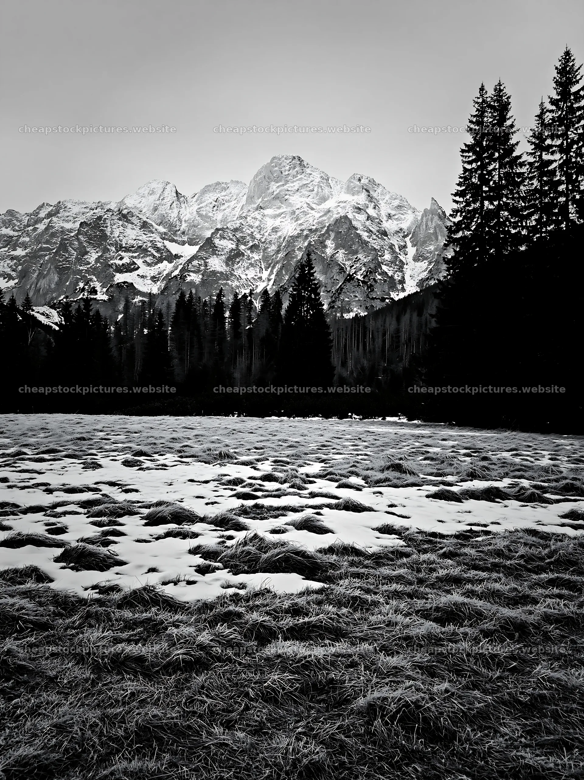 Tatra Mountains meadow with snowmelt in spring – stock pictures 6866x9174