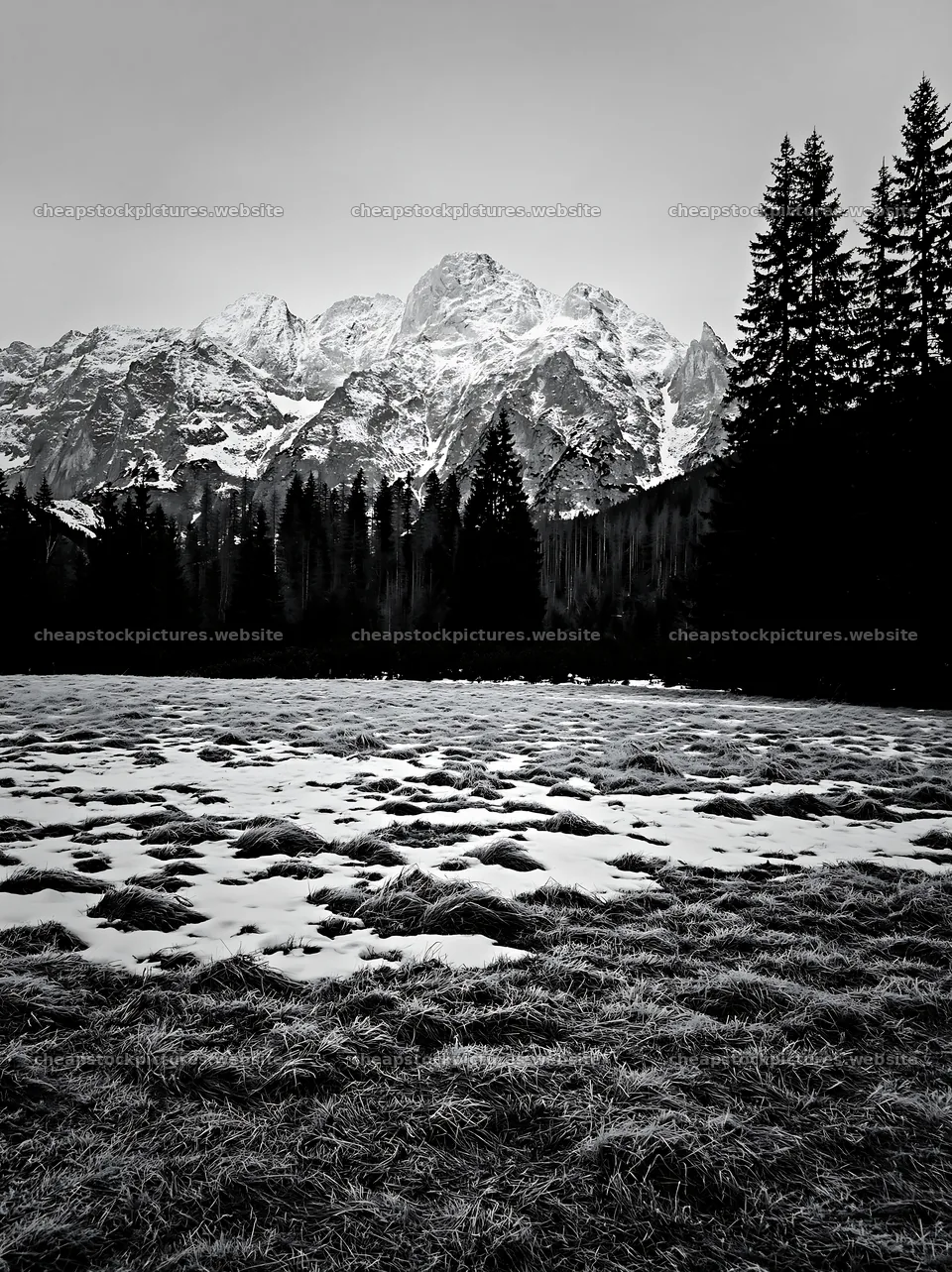 Tatra Mountains meadow with snowmelt in spring – stock pictures 6866x9174