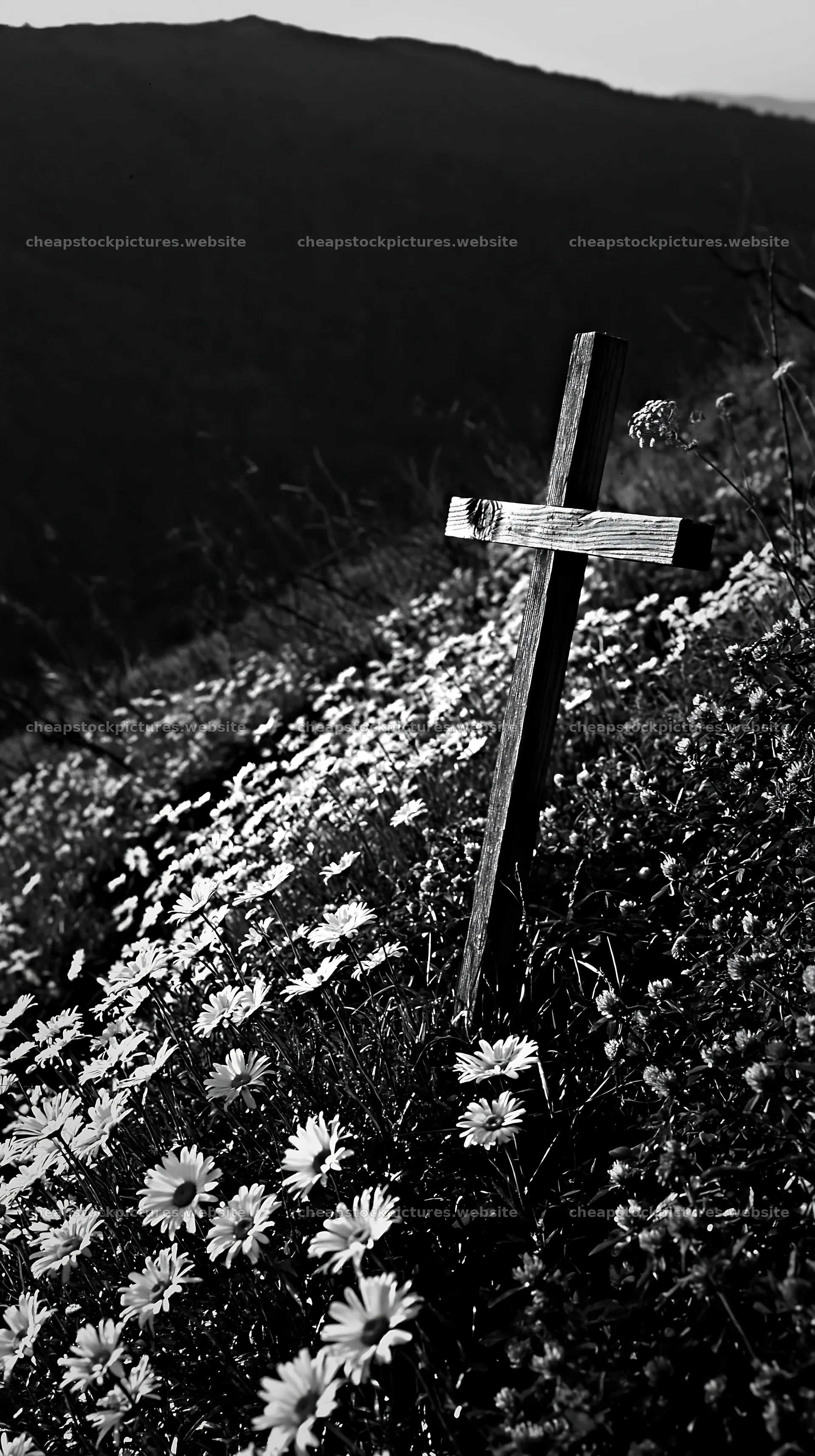 Christian cross above secluded mountain meadow – stock pictures 5938x10608