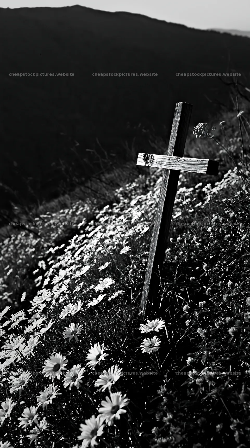 Christian cross above secluded mountain meadow – stock pictures 5938x10608