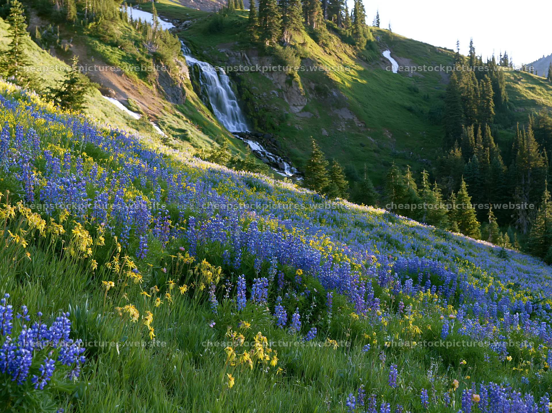 Mountain flower meadow with waterfall in green landscape – stock pictures 9174x6866
