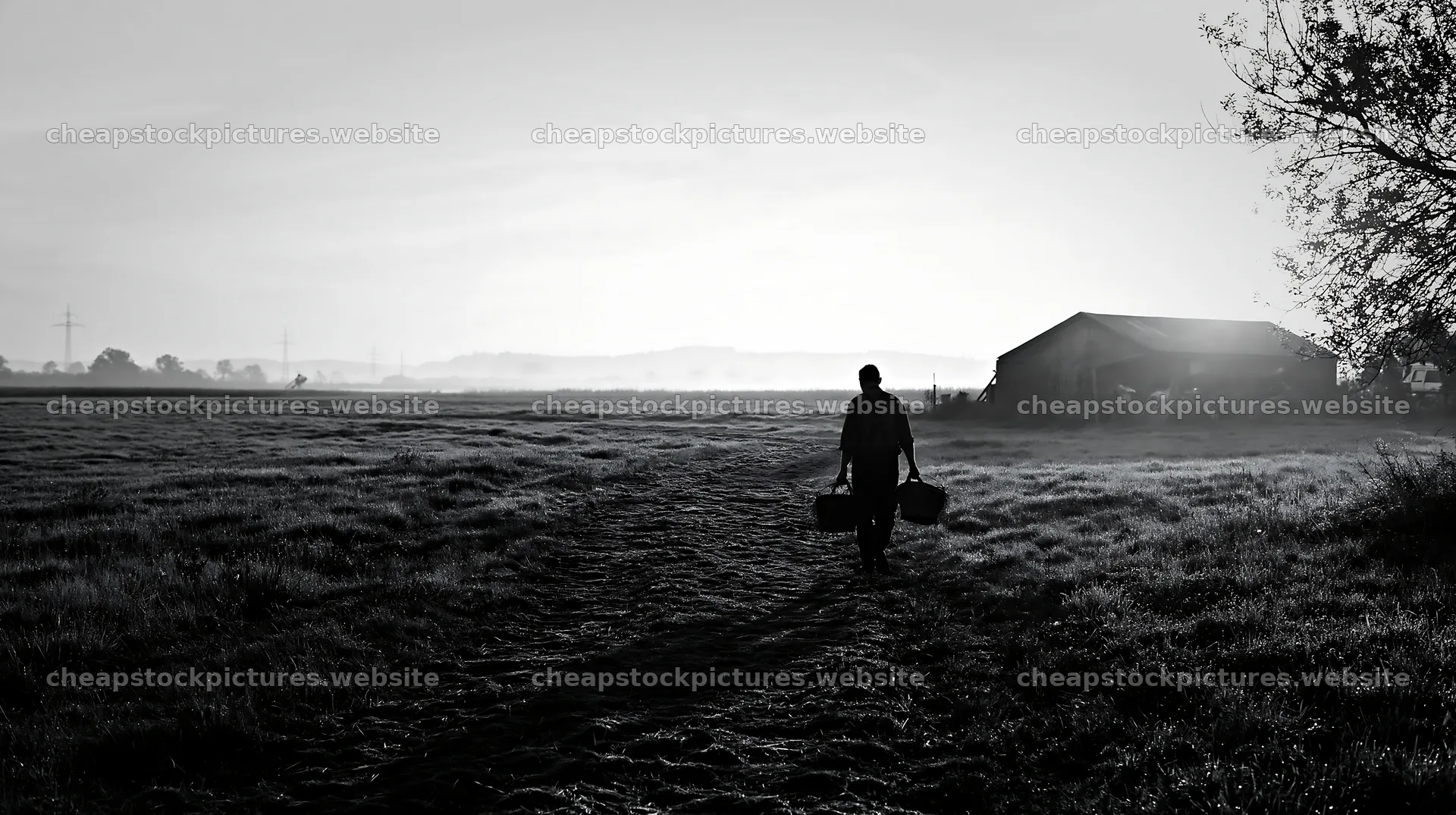 Meadow sunrise with a person walking towards a farmhouse – stock pictures 10608x5938
