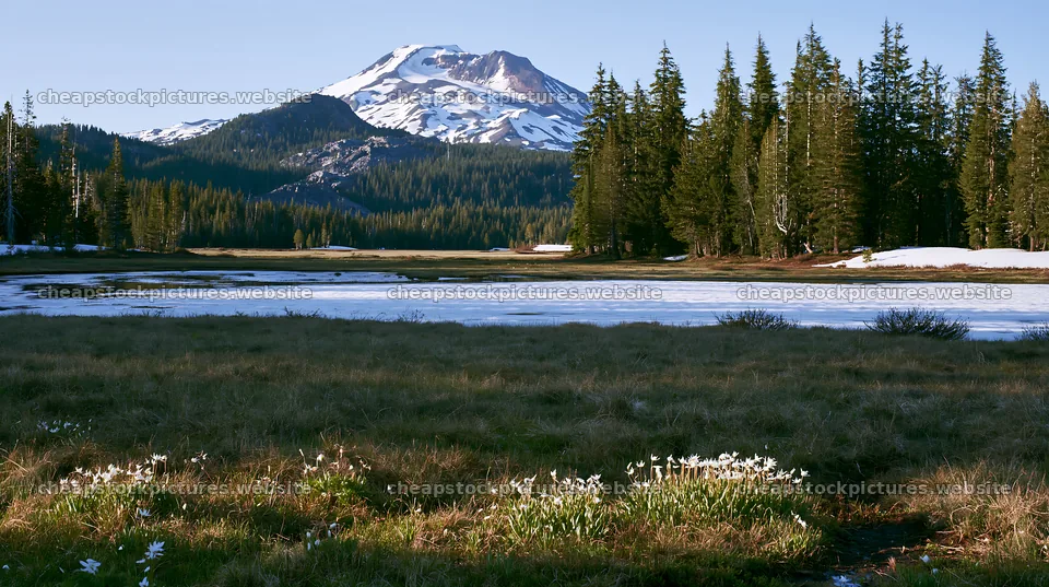 Snowmelt meadow with mountains and trees in springtime – stock pictures 10608x5938