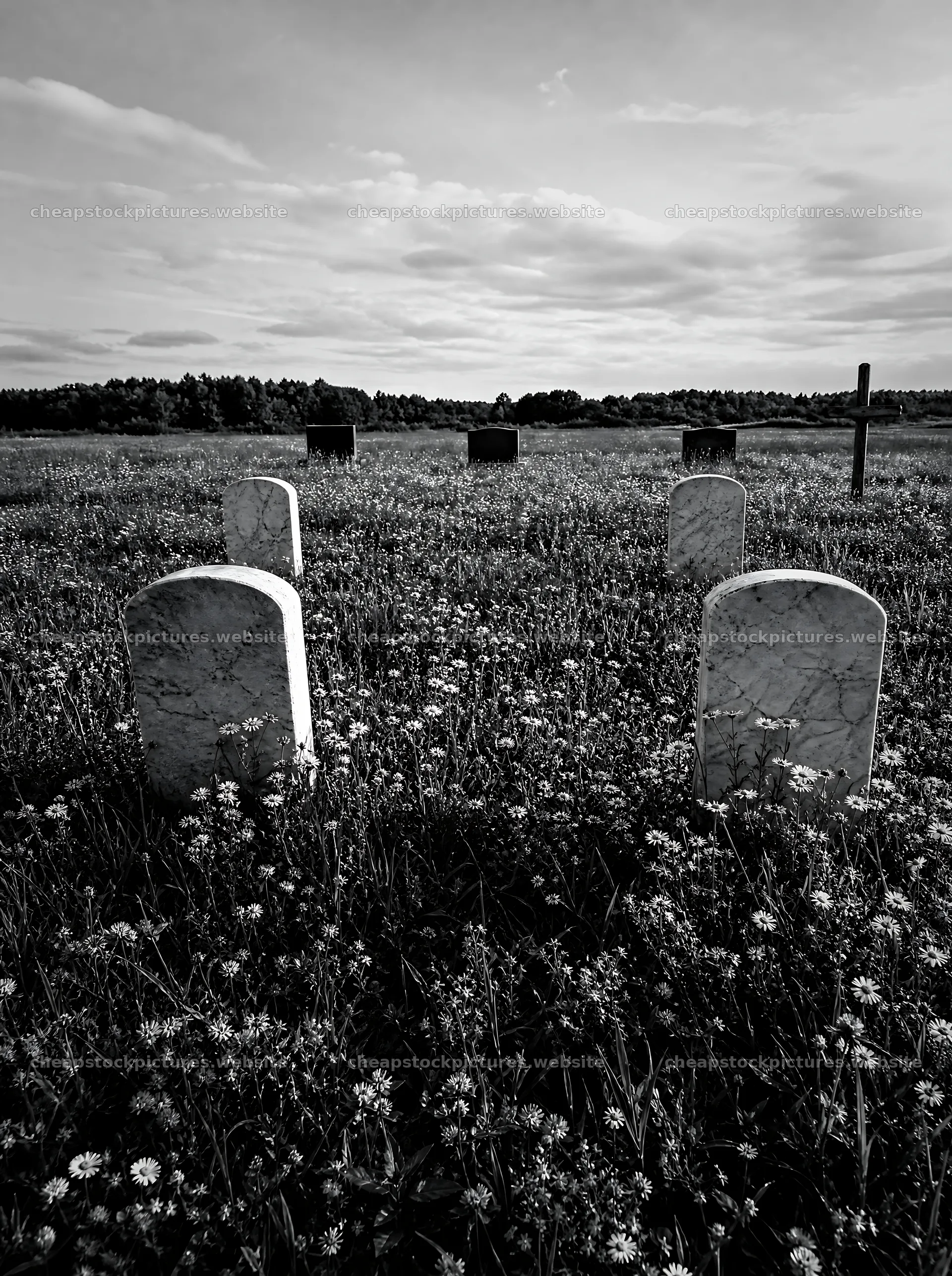 Rustic Christian cross in spring meadow with headstones – stock pictures 6858x9186