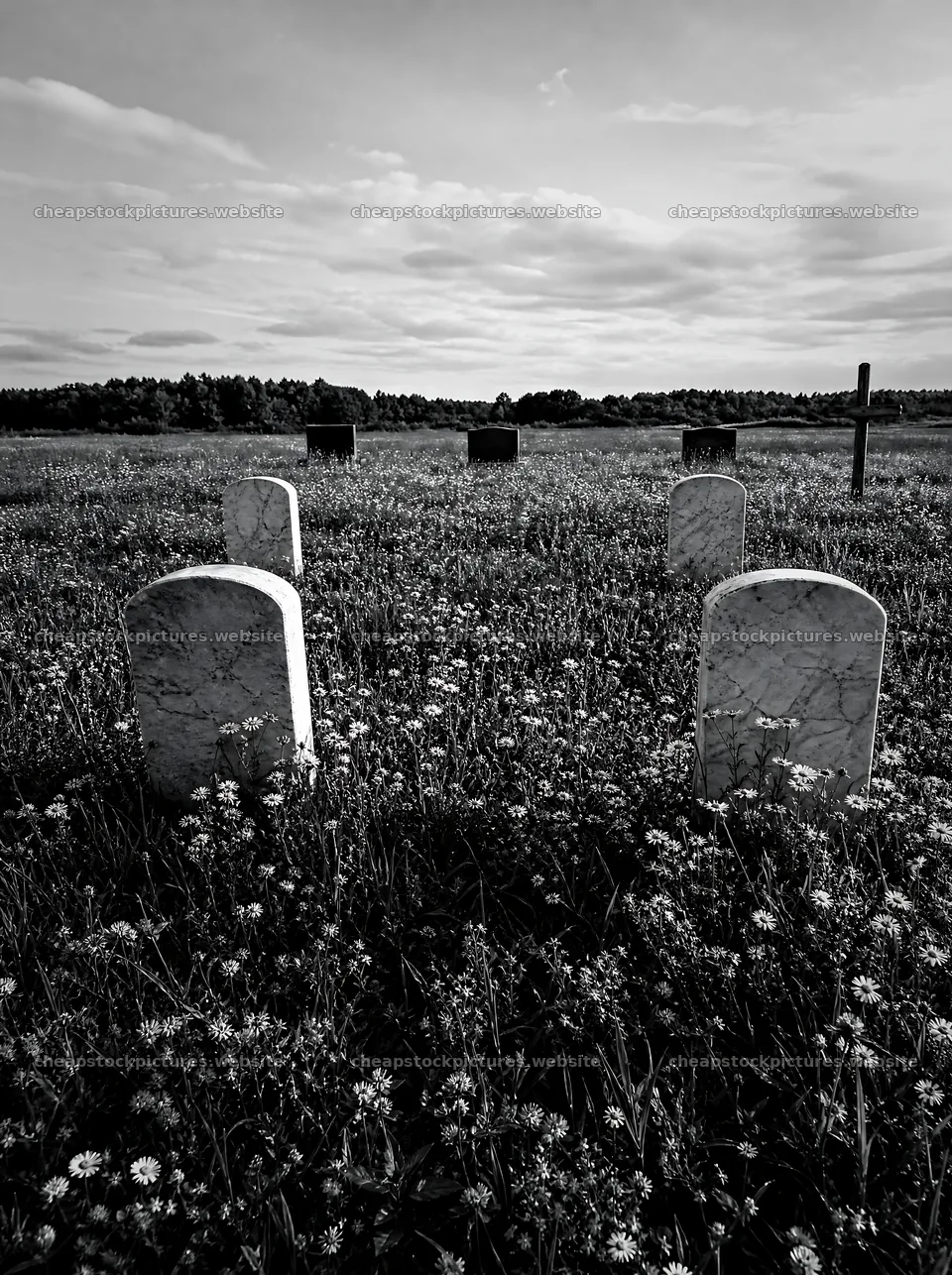 Rustic Christian cross in spring meadow with headstones – stock pictures 6858x9186