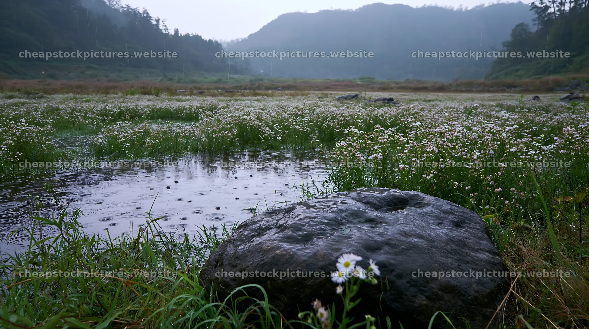 Hiroshima rainy meadow smooth rock foreground – stock pictures 10608x5938