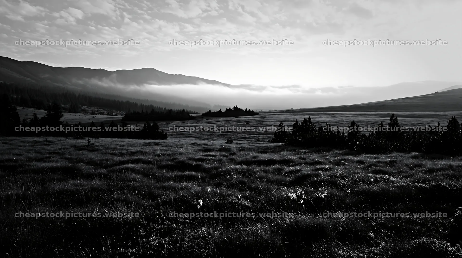 Dewy meadow at dawn with mist and mountains in the background – stock pictures 10608x5938