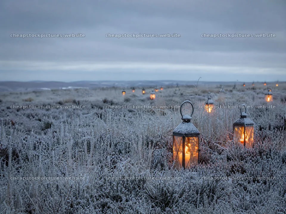 Vibrant Christmas lanterns across winter meadow – stock pictures 9186x6858