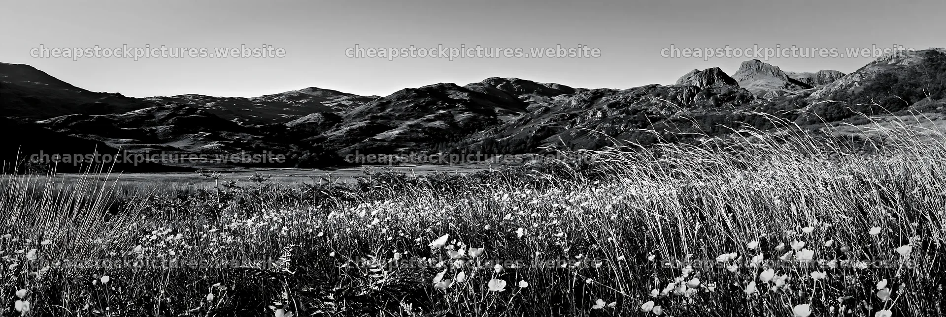 Meadow below crags with wildflowers in black and white – stock pictures 13690x4602