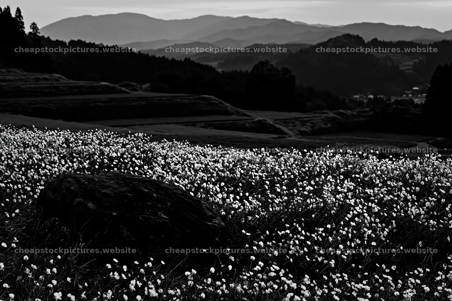 Miyagi spring recovery meadow mossy stone in a mountain area – stock pictures 9722x6480