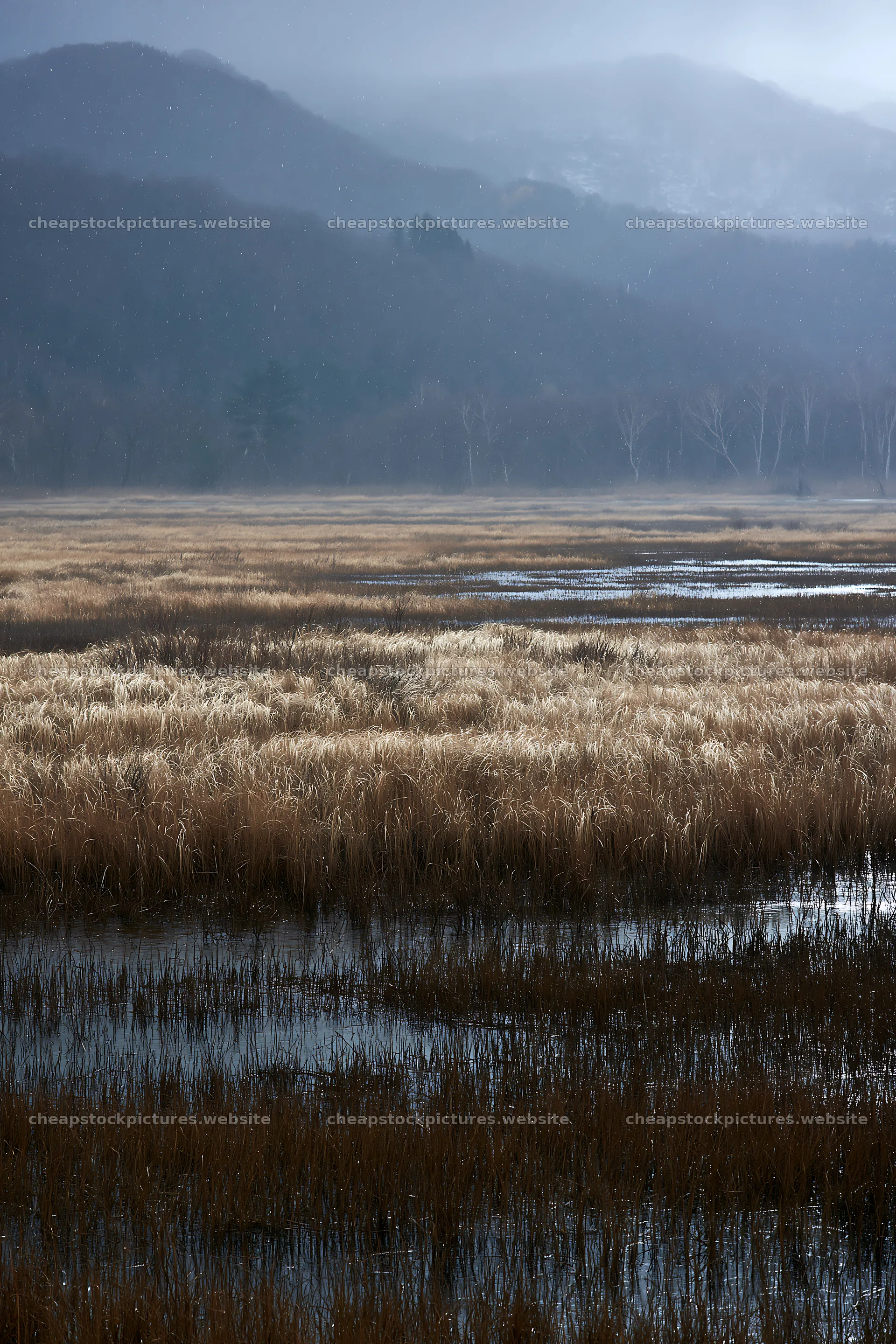Akita snowmelt meadow with silver grasses under cloudy sky – stock pictures 6480x9722