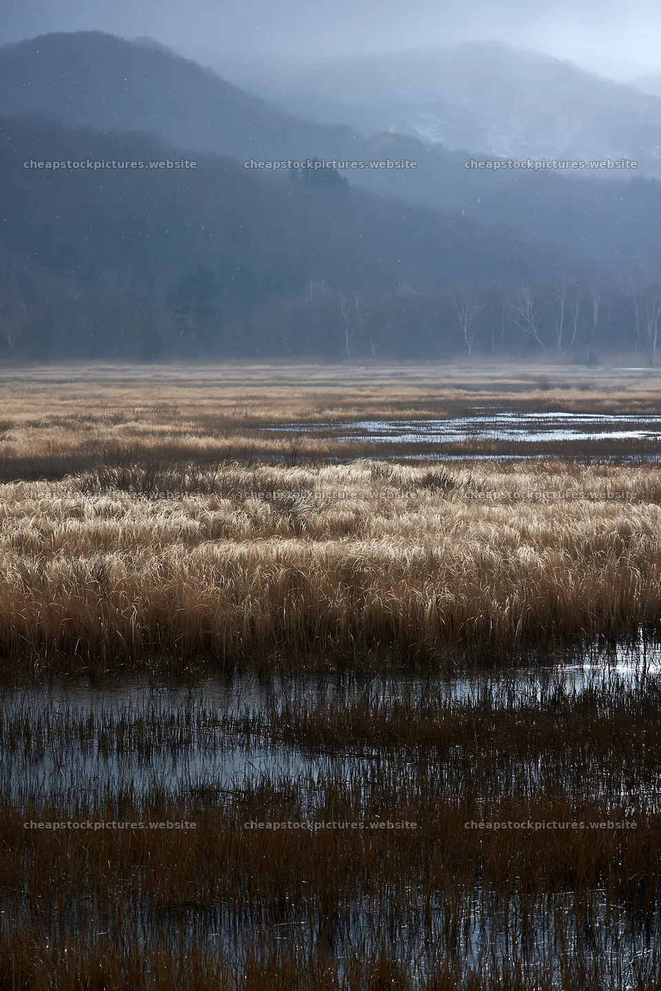 Akita snowmelt meadow with silver grasses under cloudy sky – stock pictures 6480x9722