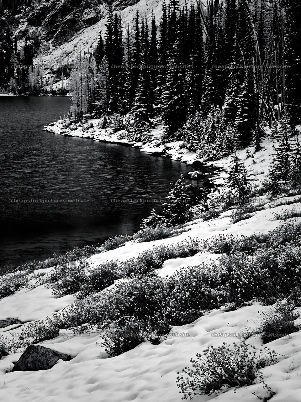 Lakeside meadow covered in snow in winter – stock pictures 6866x9174