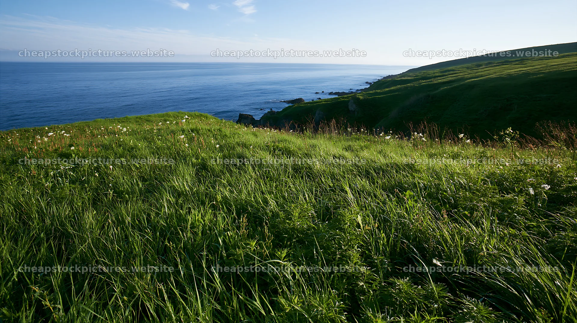 Expansive Hokkaido restoration meadow with dewdrops – stock pictures 10608x5938