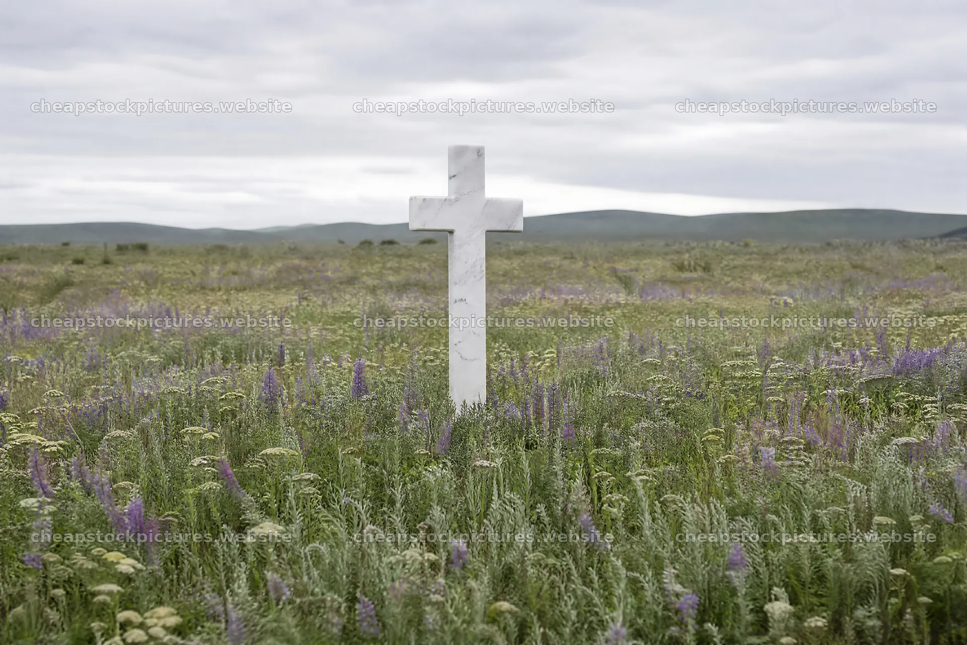 White Christian cross stands in wildflower meadow – stock pictures 9722x6480