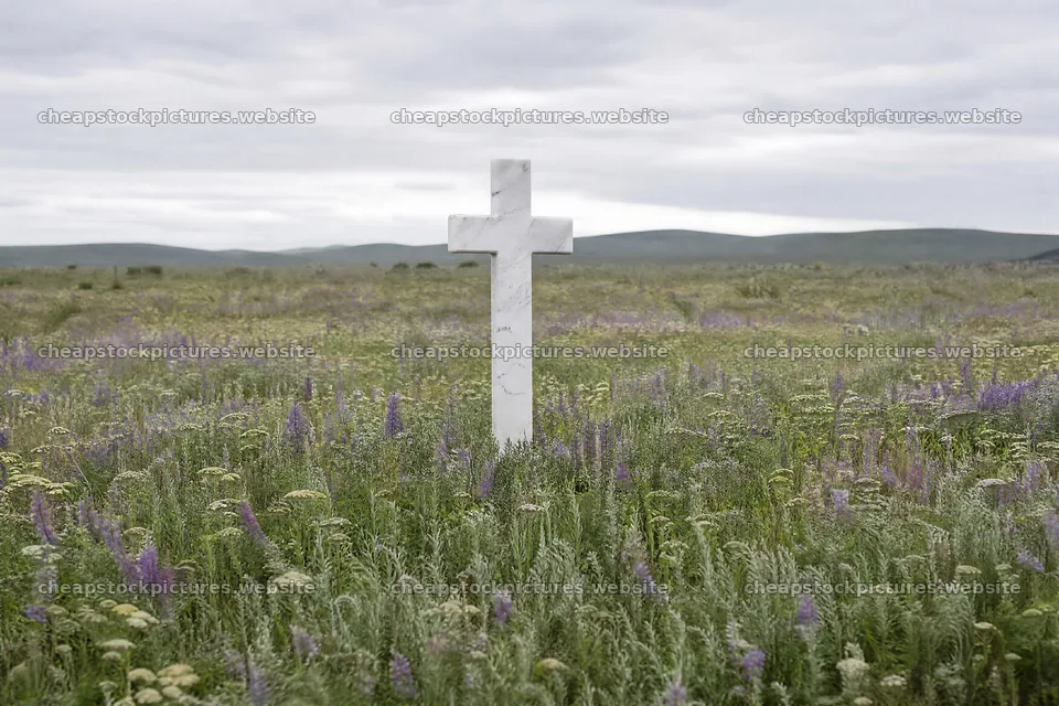 White Christian cross stands in wildflower meadow – stock pictures 9722x6480