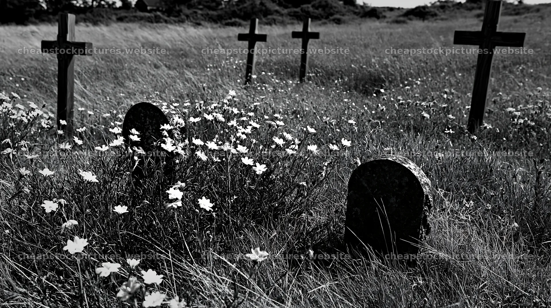 Four wooden crosses in Advent meadow during daylight – stock pictures 10608x5938