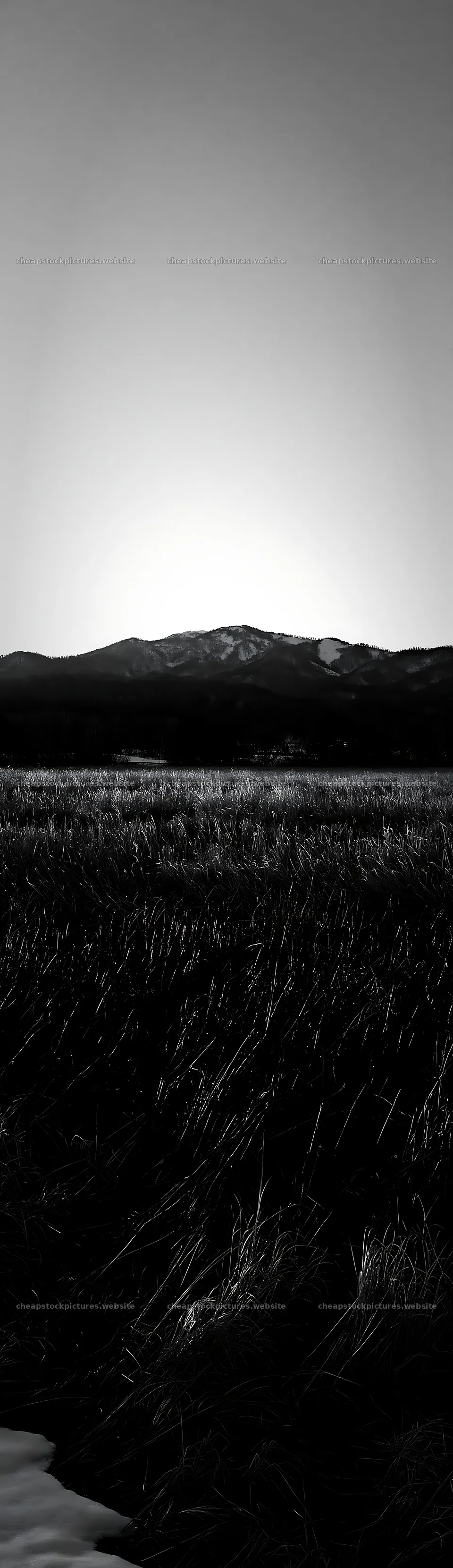 Akita snowmelt meadow with silver grasses under clear sky – stock pictures 4268x14762