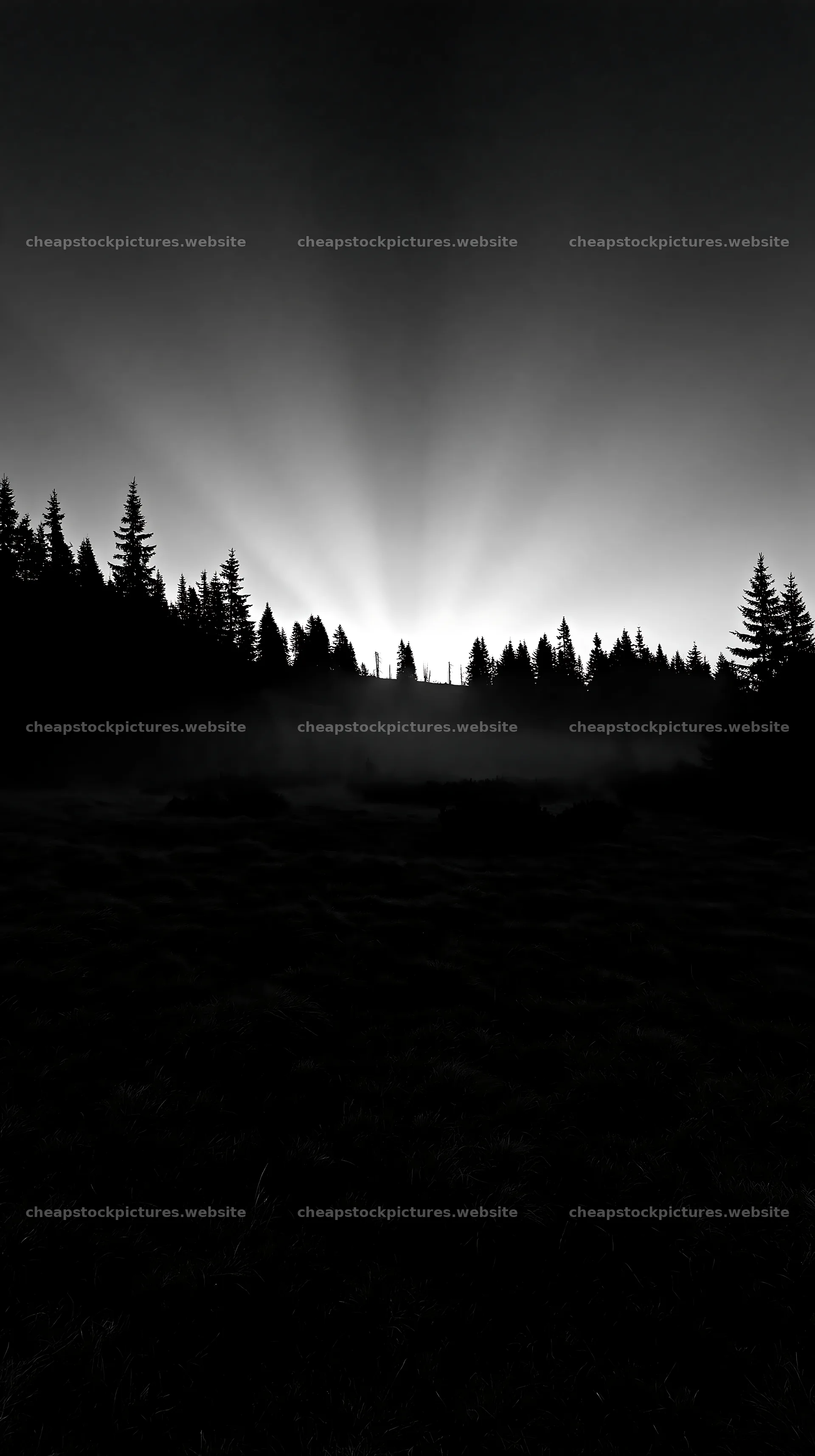 Sunrise rays over meadow in Bucegi Mountains – stock pictures 5938x10608