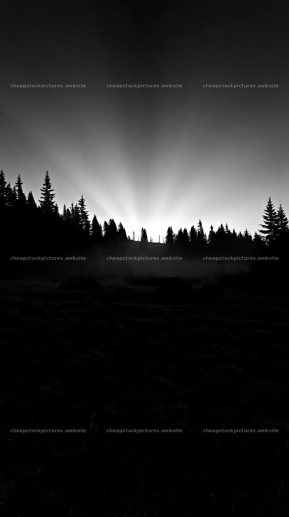 Sunrise rays over meadow in Bucegi Mountains – stock pictures 5938x10608