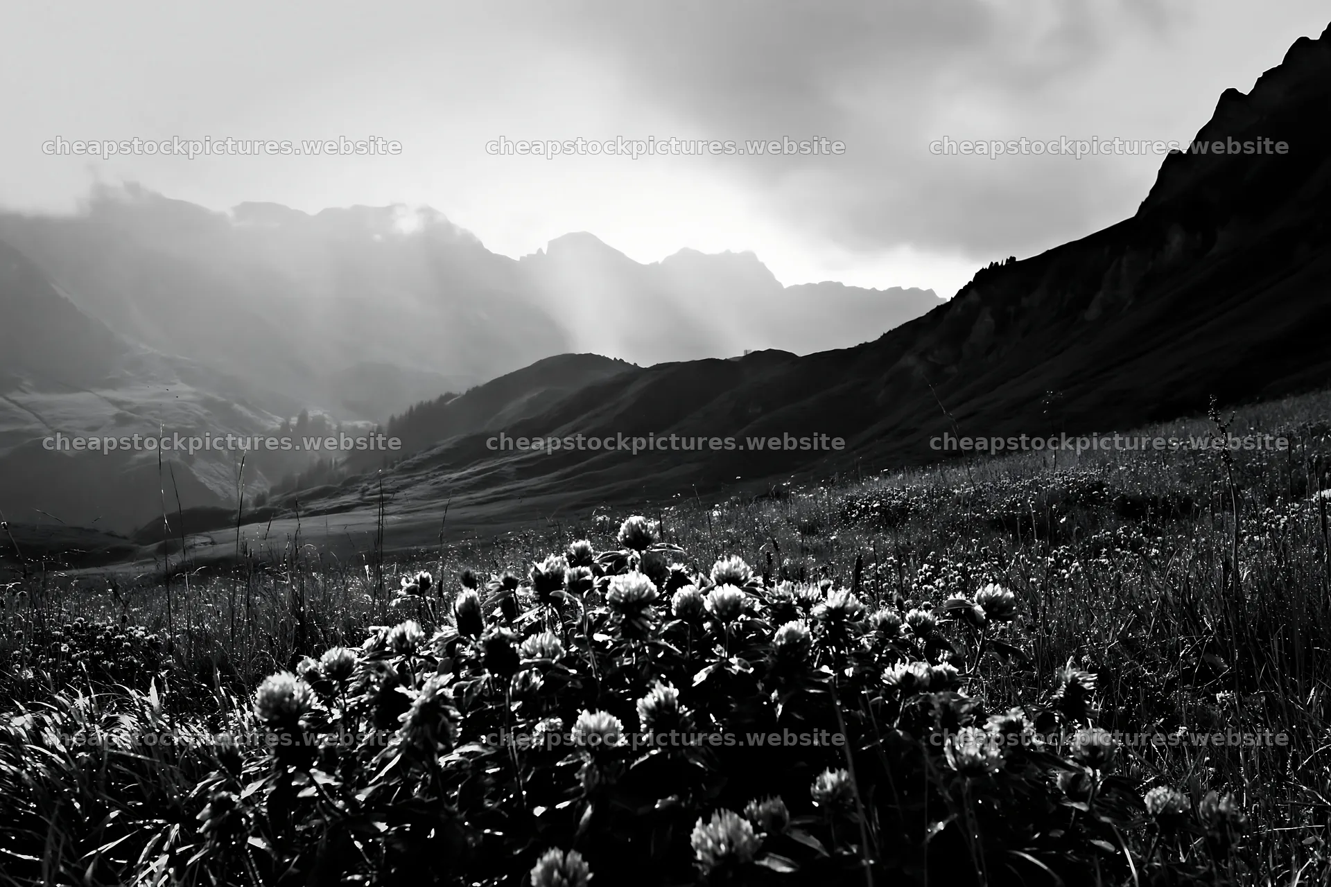 Swiss subalpine meadow with layered ridgelines in black and white – stock pictures 9722x6480