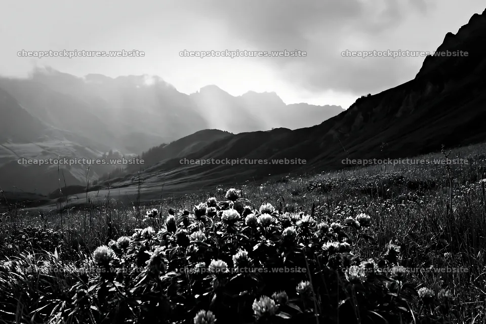 Swiss subalpine meadow with layered ridgelines in black and white – stock pictures 9722x6480