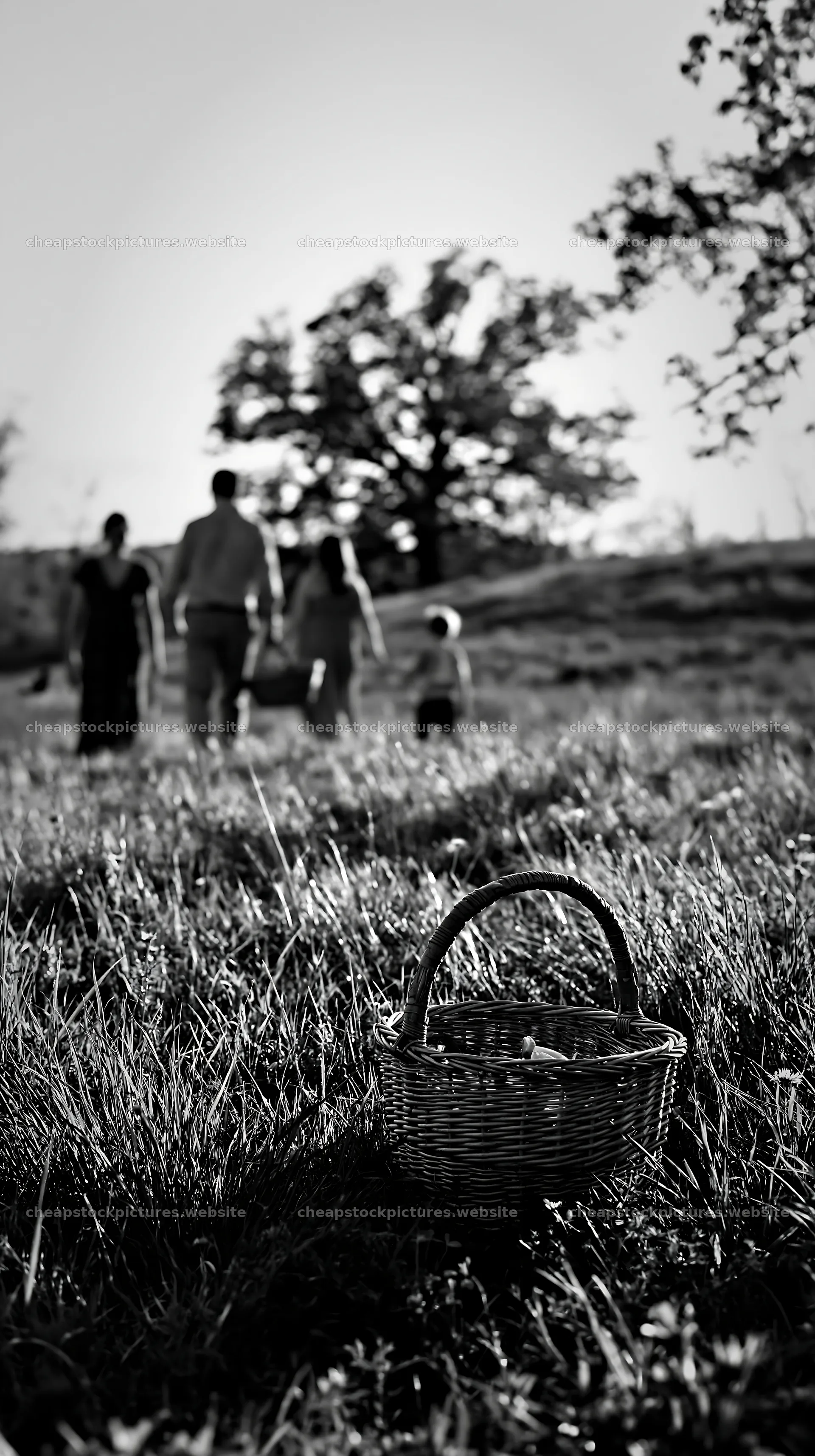 Easter basket in meadow with family walking in spring sunlight – stock pictures 5938x10608