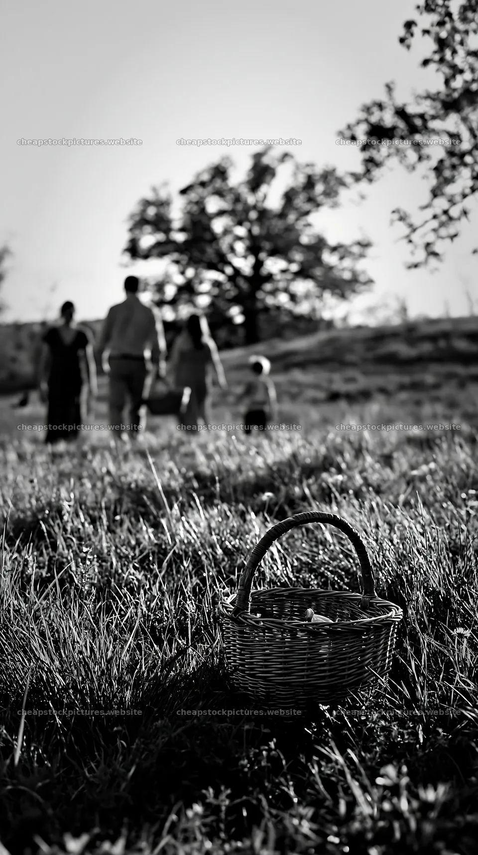 Easter basket in meadow with family walking in spring sunlight – stock pictures 5938x10608