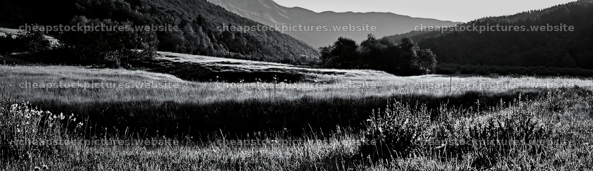Dewy meadow landscape with mountains in the background – stock pictures 14762x4268