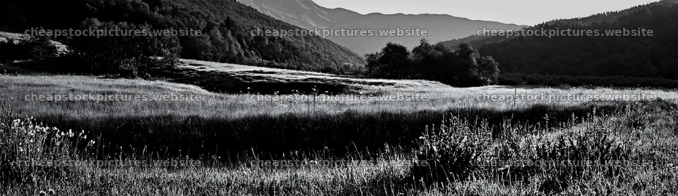 Dewy meadow landscape with mountains in the background – stock pictures 14762x4268