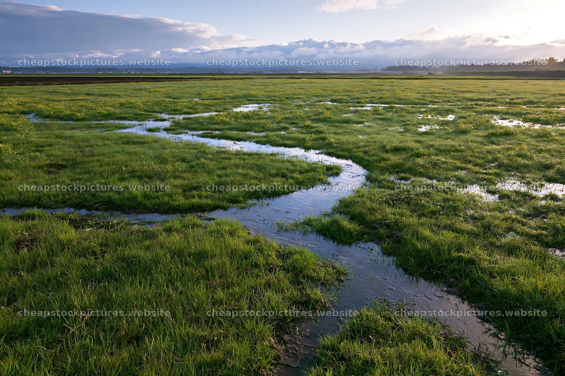 Meadow with dew and water stream in Niigata floodplain – stock pictures 9722x6480