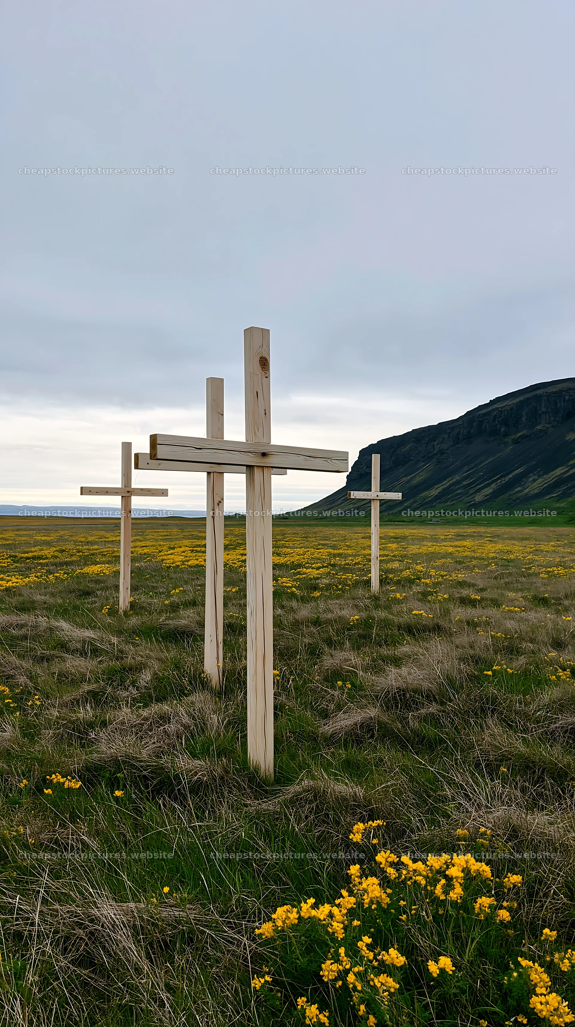 Christian crosses in meadow with yellow flowers – stock pictures 5938x10608