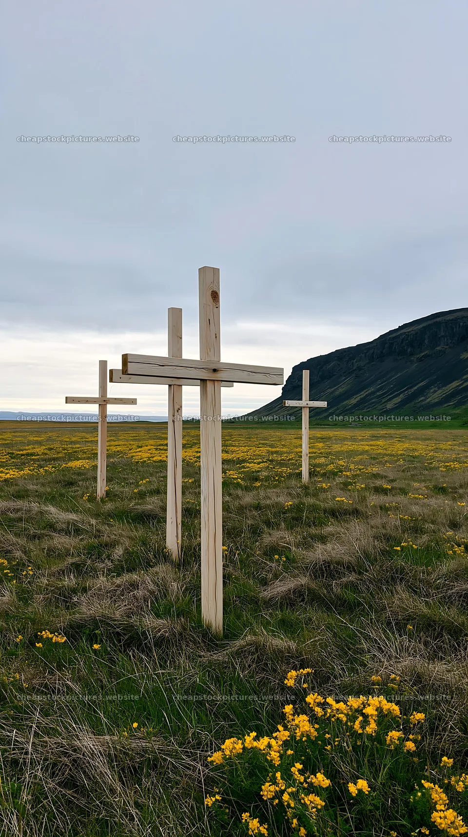 Christian crosses in meadow with yellow flowers – stock pictures 5938x10608